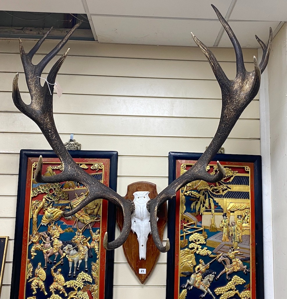 A faux stag horn and cast metal wall trophy, width 95cm, height 100cm